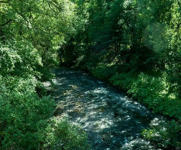 Lägenhet Living-in-history: Historischer Charme Und Design